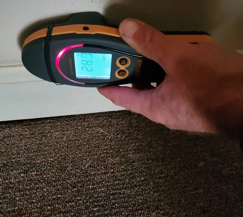 Moisture detection at baseboard during Mold Inspection & Testing in Johnston